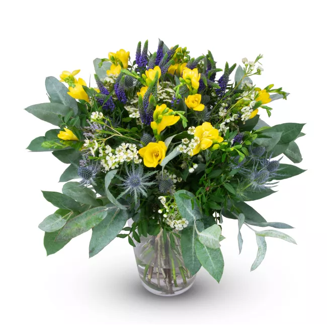 Bouquet of yellow freesia